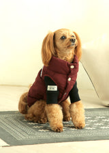 裏起毛プルオーバースウェット BLACK M L XL 2XL