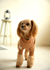 裏起毛プルオーバースウェット BROWN M L XL 2XL