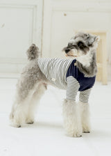 パターンボーダーカットソー NAVY M L LL 2XL