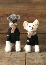 裏起毛プルオーバースウェット BLACK M L XL 2XL