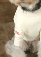 裏起毛プルオーバースウェット IVORY M L XL 2XL