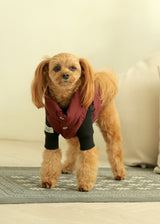 パディングベスト WINE M L XL