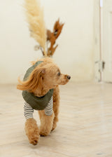 リバーシブル中綿キルティングボアベスト WHITE M L LL 2XL