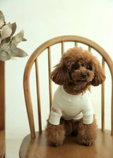 裏起毛プルオーバースウェット IVORY M L XL 2XL