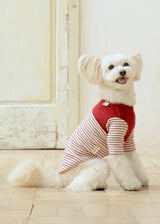 パターンボーダーカットソー RED M L LL 2XL