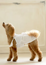 エンブロイダリーレースワンピース WHITE S M L LL