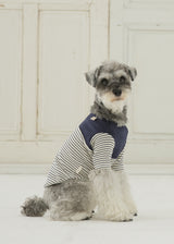 パターンボーダーカットソー NAVY M L LL 2XL