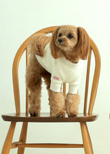 裏起毛プルオーバースウェット IVORY M L XL 2XL