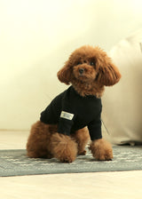 裏起毛プルオーバースウェット BLACK M L XL 2XL