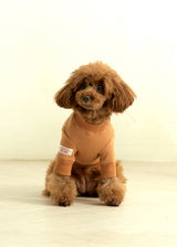 裏起毛プルオーバースウェット BROWN M L XL 2XL
