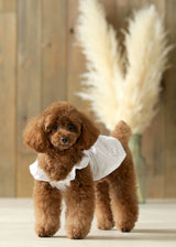 エンブロイダリーレースワンピース WHITE S M L LL