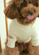 裏起毛プルオーバースウェット IVORY M L XL 2XL