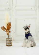 パターンボーダーカットソー NAVY M L LL 2XL