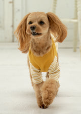 パターンボーダーカットソー MUSTARD M L LL 2XL