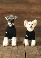 裏起毛プルオーバースウェット BLACK M L XL 2XL