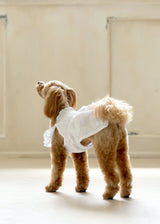 エンブロイダリーレースワンピース WHITE S M L LL