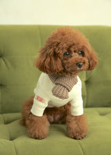 裏起毛プルオーバースウェット IVORY M L XL 2XL