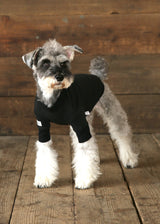 裏起毛プルオーバースウェット BLACK M L XL 2XL