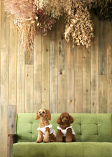 エンブロイダリーレースワンピース WHITE S M L LL