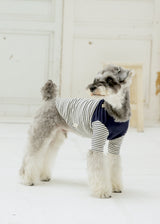 パターンボーダーカットソー NAVY M L LL 2XL