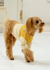 パターンボーダーカットソー MUSTARD M L LL 2XL