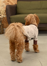 クマさんバイカラーカットソー BEIGE ベージュ M L