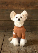 裏起毛プルオーバースウェット BROWN M L XL 2XL