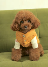 裏起毛プルオーバースウェット IVORY M L XL 2XL