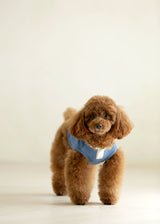 ヘンリーネックデニムカットソー S M L LL