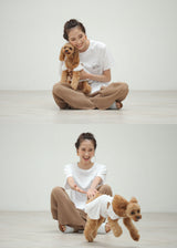 ドッグカフェルディ スタッフTシャツ 大人用 男女兼用 S M