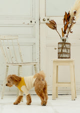 パターンボーダーカットソー MUSTARD M L LL 2XL