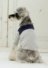 パターンボーダーカットソー NAVY M L LL 2XL