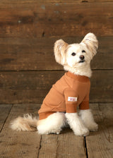裏起毛プルオーバースウェット BROWN M L XL 2XL