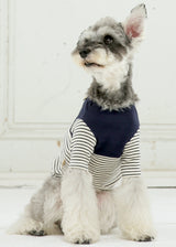 パターンボーダーカットソー NAVY M L LL 2XL