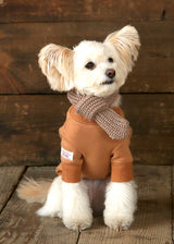 裏起毛プルオーバースウェット BROWN M L XL 2XL